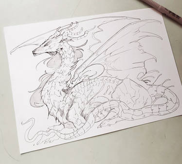 Dragon sketch