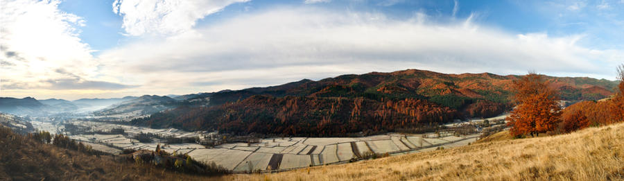 Colors of autumn