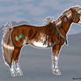 Indian Horse - TAKEN