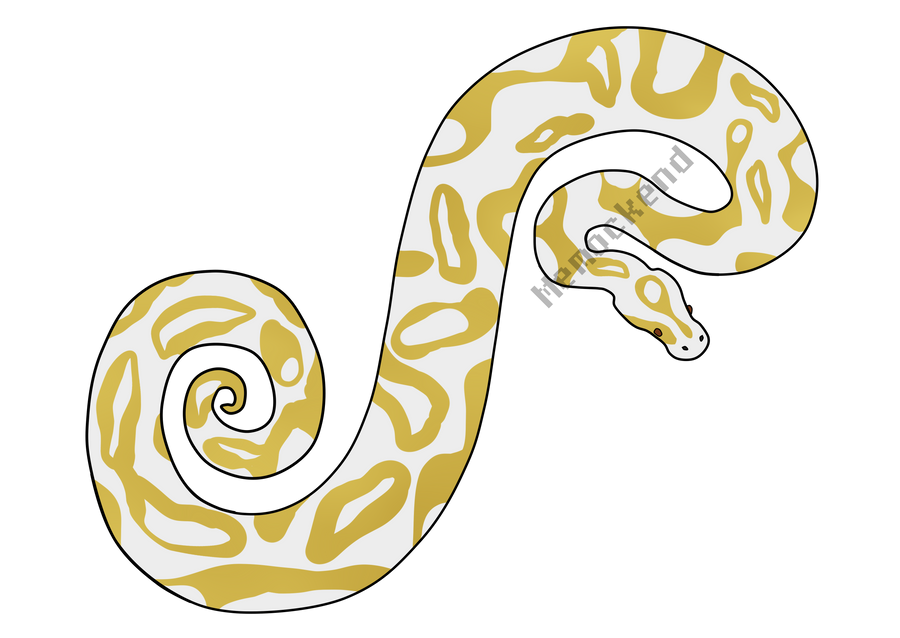 Matching Ball Python Pfp Ball python adopt - OPEN by MemozAdoptz on DeviantArt