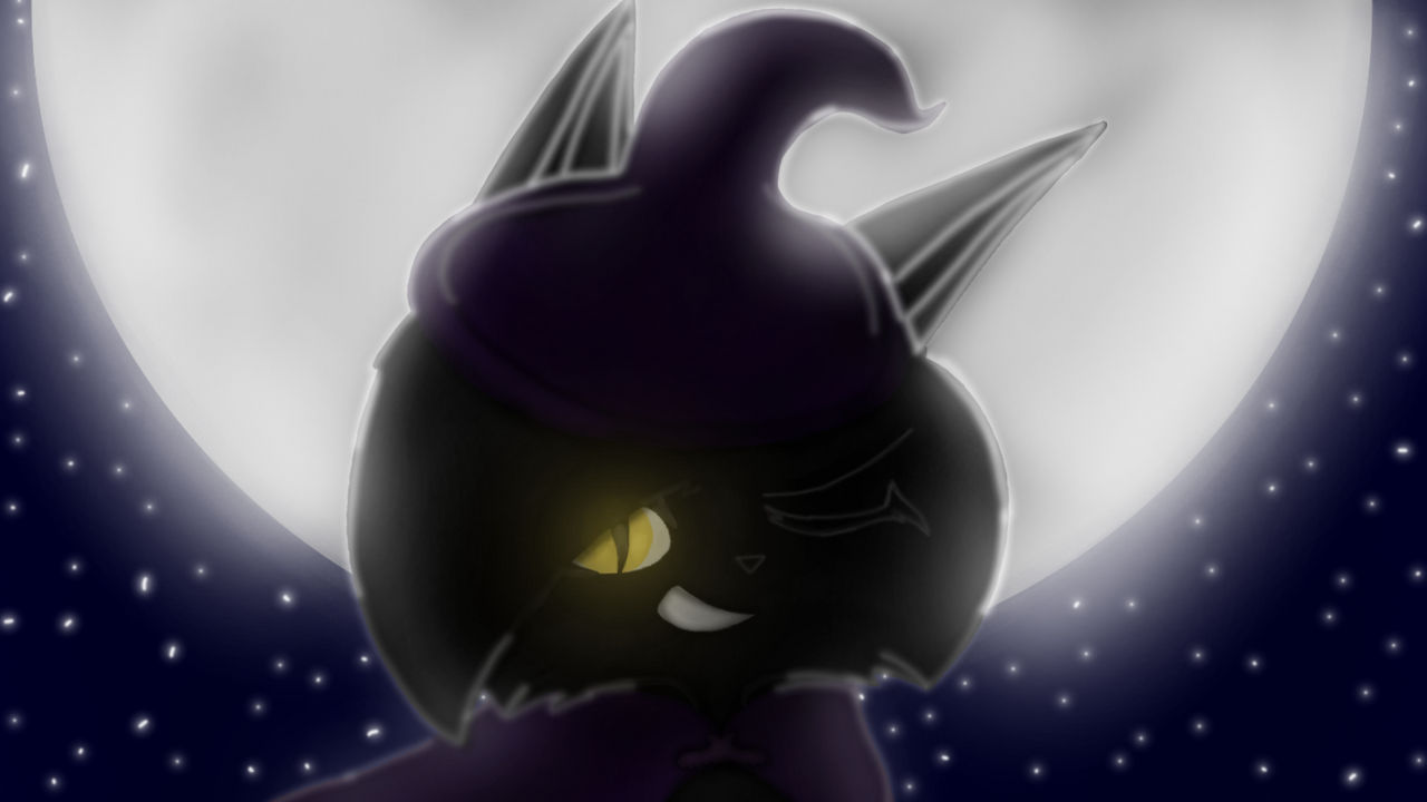 Witch cat