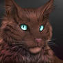 Hawkfrost