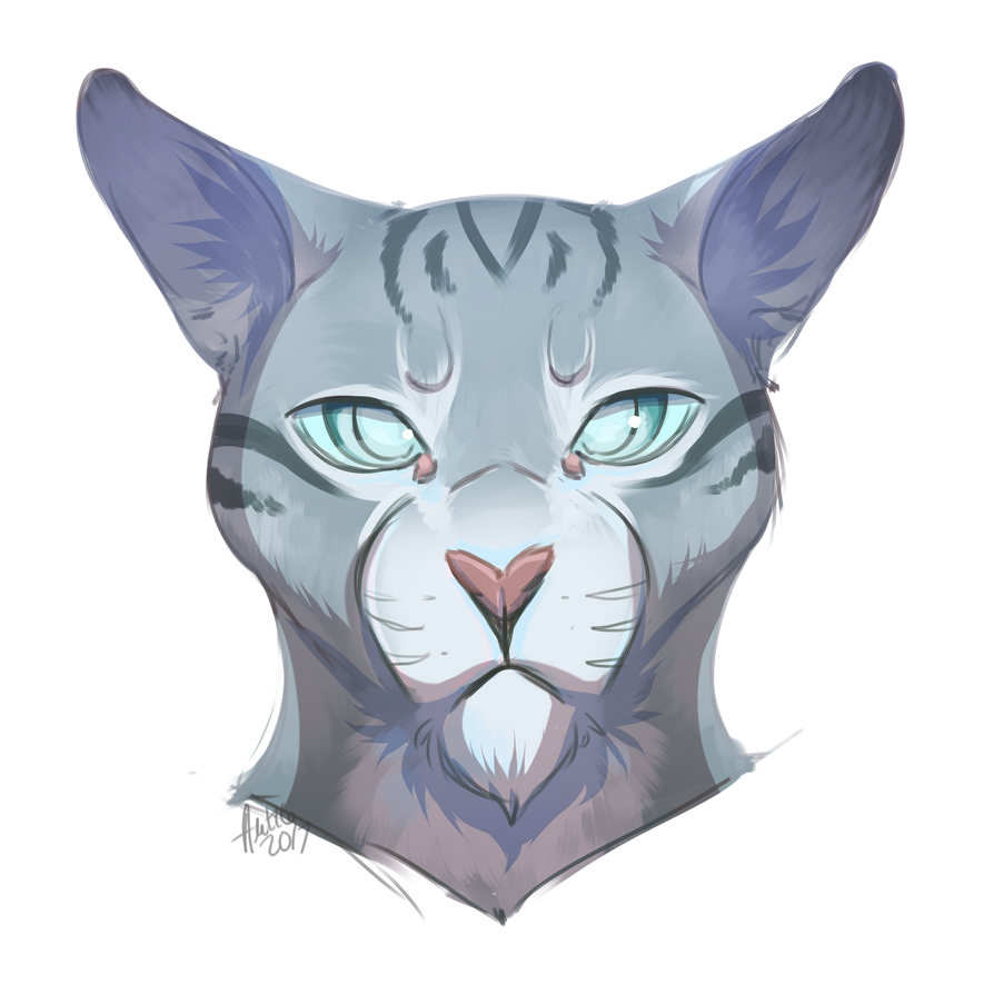 The Sharp-Eyed Jayfeather by Coeuralma