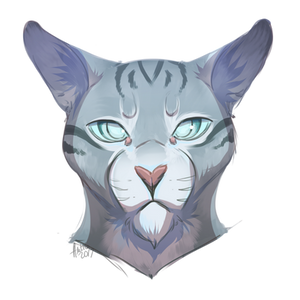 The Sharp-Eyed Jayfeather by Coeuralma