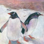 Gentoo Penguins