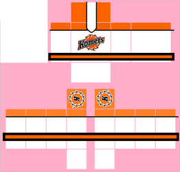 Fort Wayne Komets (HOME)