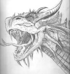 Dragon2011