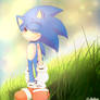 Sonic Breathing With The Sky