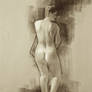 Paul Temple  Figure Drawing