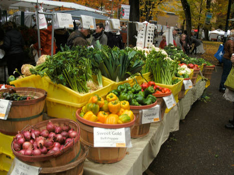 farmer's market stand