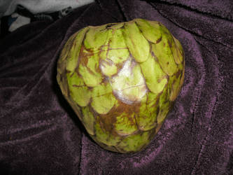 cherimoya pic