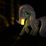 Fluttershy in amnesia