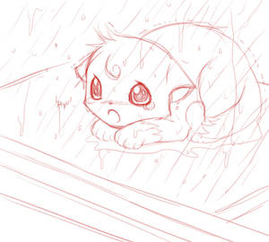 Wet kitten sketch