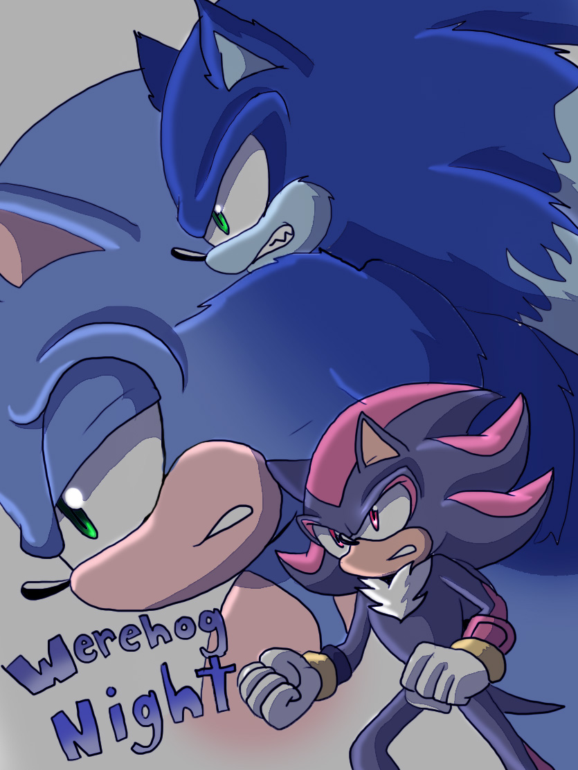 Werehog Night cover