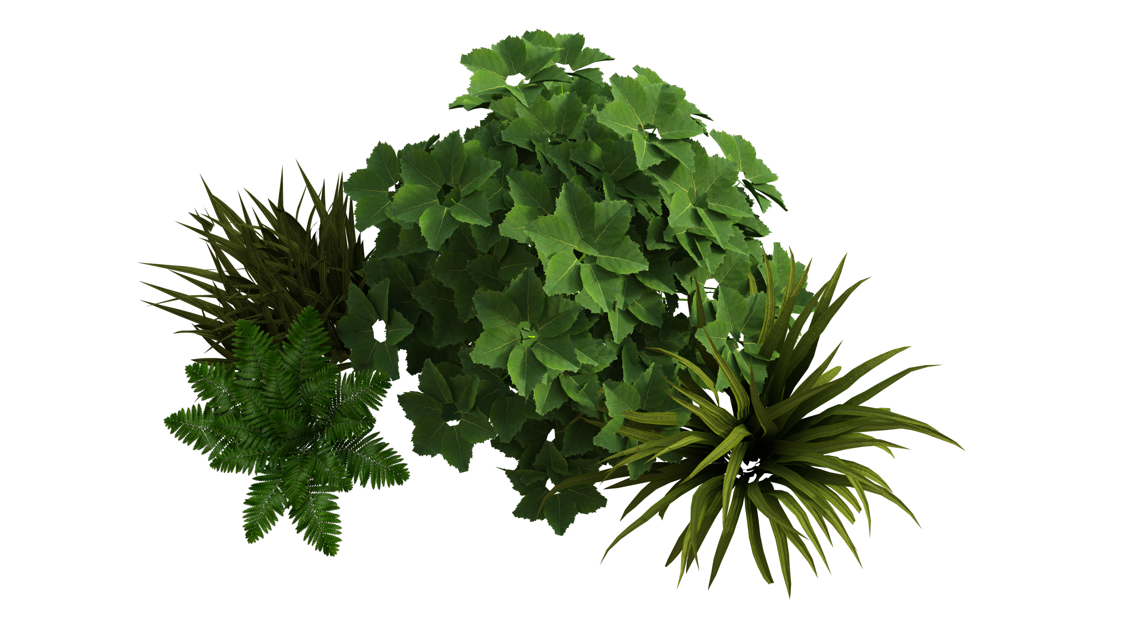 Plant Deviantart Plants 78 by KraftyKreations on DeviantArt