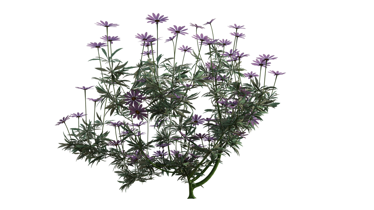 Plant Deviantart Plants 85 by KraftyKreations on DeviantArt