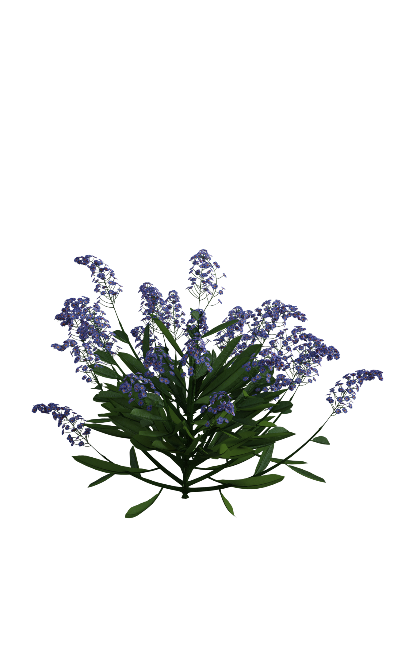 Plant Deviantart Plant 11 by KraftyKreations on DeviantArt