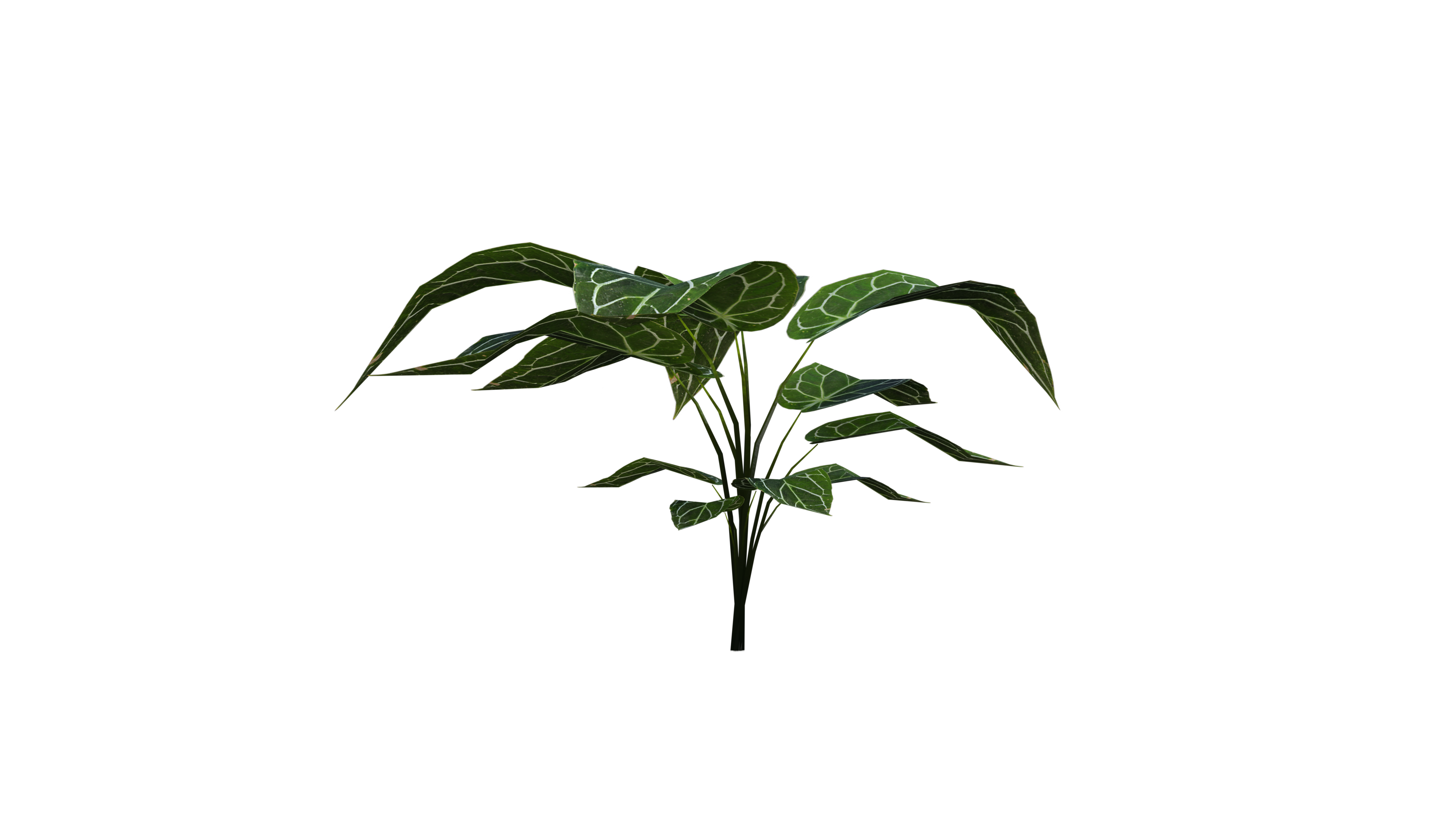 Plant Deviantart Plant by KraftyKreations on DeviantArt