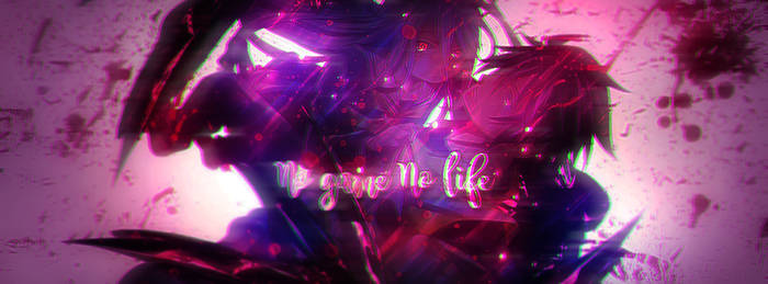 No Game No Life