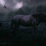 Darkness is My Best Friend