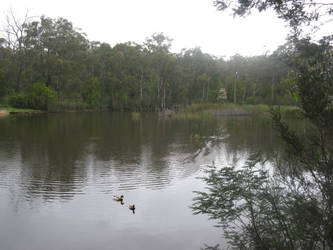 Tranquil lake