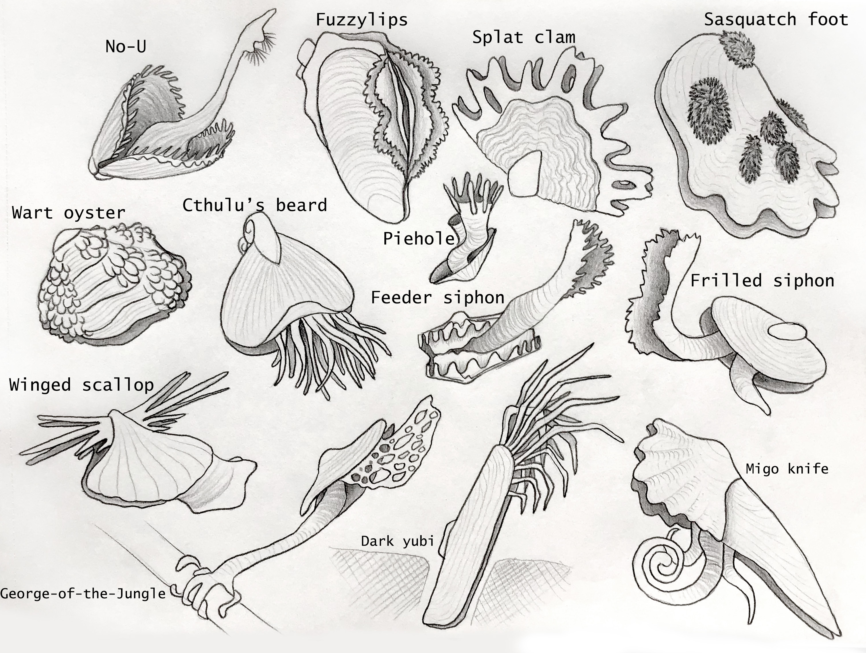 Bivalve Shellfish Color Chart Freshwater Bivalves, GLE, Art by AlienOffspring by Jdailey1991 on ...