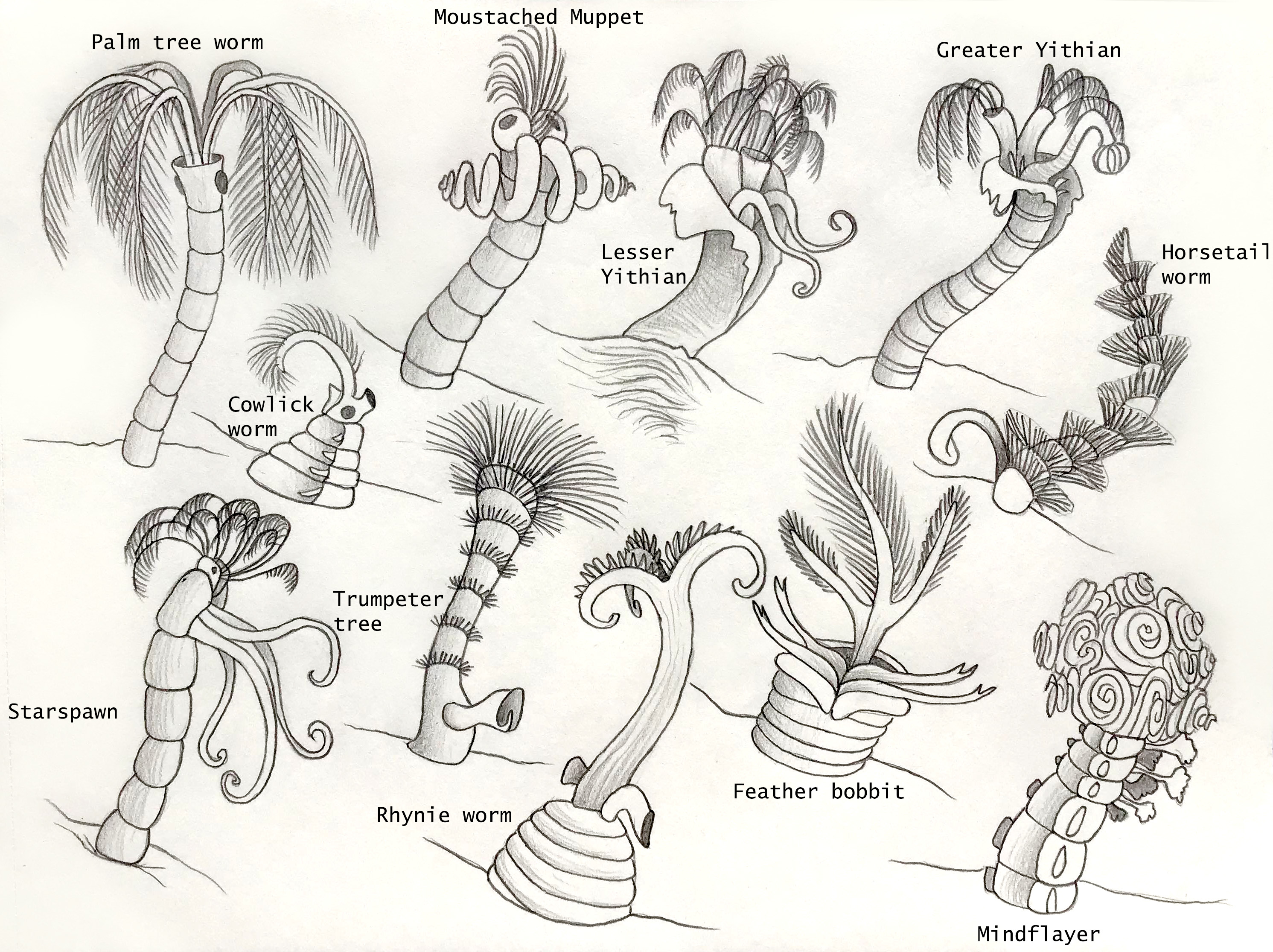 Extinct Barnacles In the event that true barnacles and tube worms became extinct in a P ...