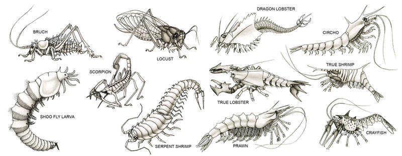 Appetizing Arthropods, GLE, Art by AlienOffspring