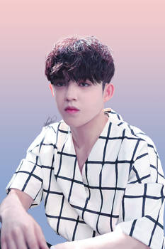 SEVENTEEN - S. Coups/Seungcheol