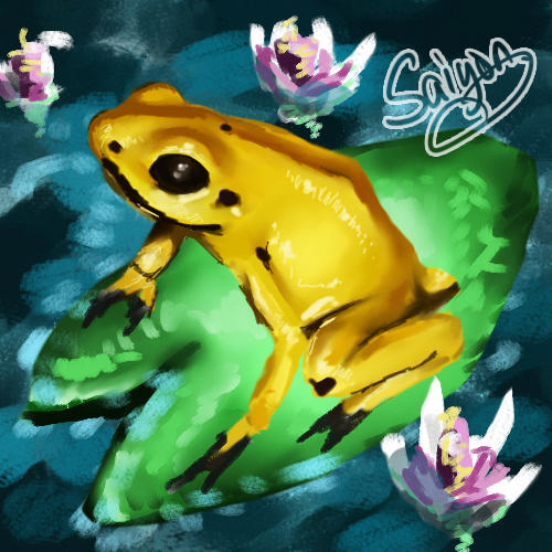 Frog by Saiyon on DeviantArt