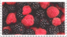 mixed berries stamp by GlacierVapour