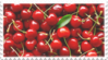 red cherries fruit stamp