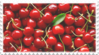 red cherries fruit stamp by GlacierVapour