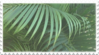 green plant aesthetic stamp 3