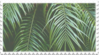 green plant aesthetic stamp 1