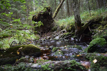 Roots of the Risen, Bergslagsleden