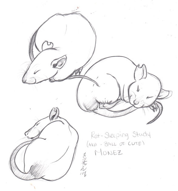 Rat Sleep Study