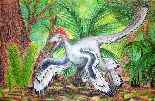 Anchiornis huxleyi