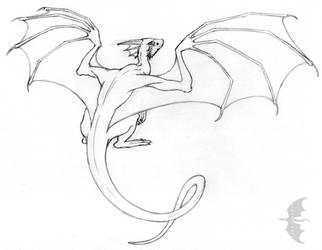 Dragon sketch