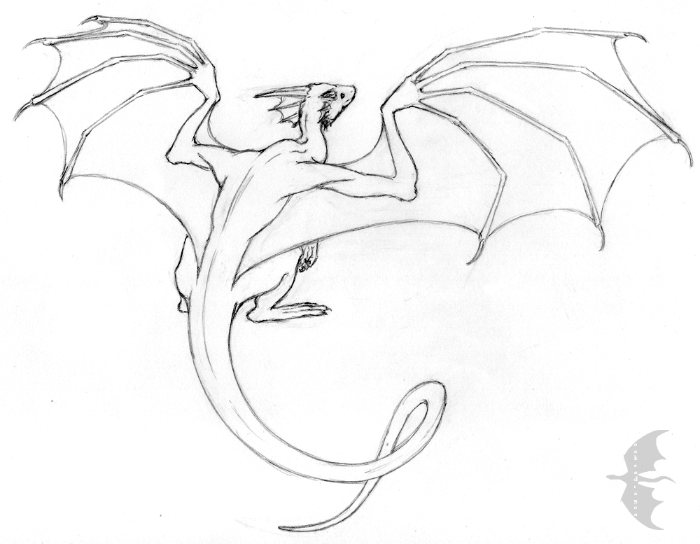 Dragon sketch