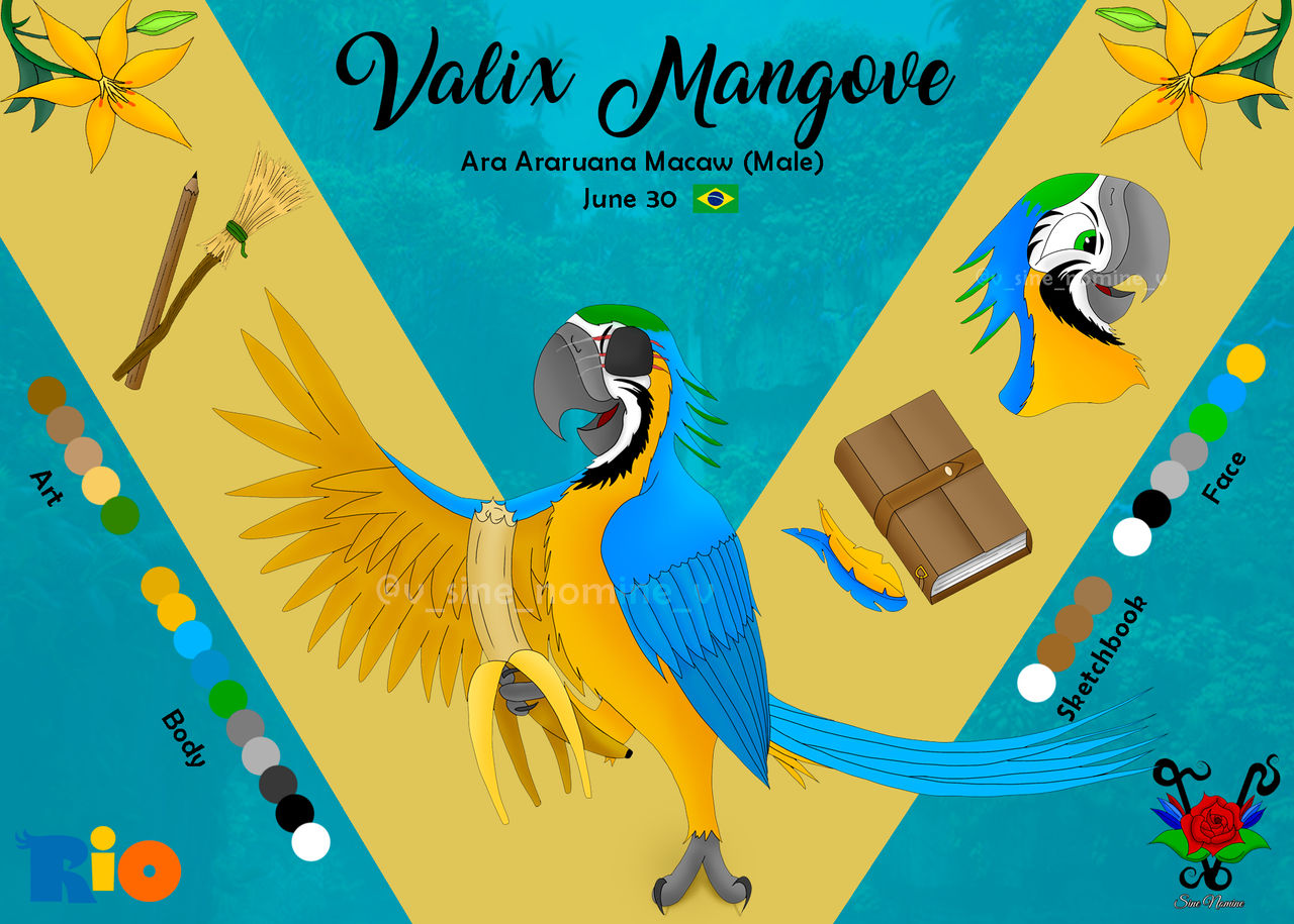 II ''Valix's Reference Sheet'' II by IISineNomineII on DeviantArt