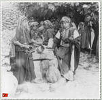 16516 Filistin dugunu-Ramallah by nostaljibey