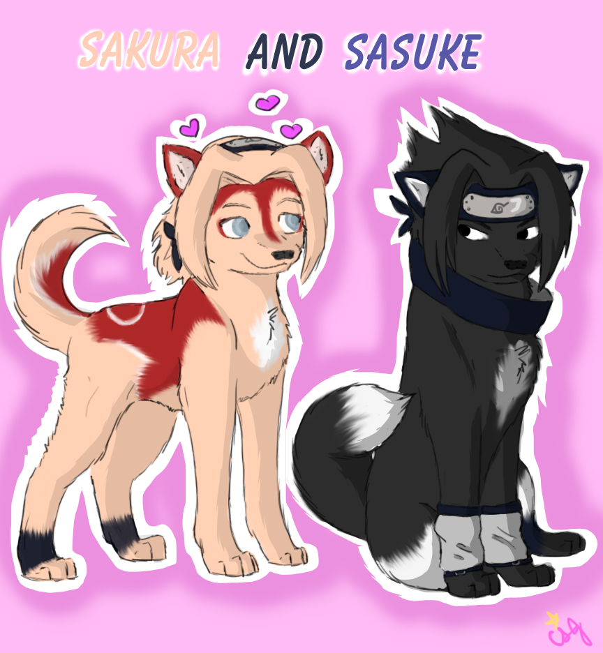 Sakura and Sasuke? O.o by PukyBear on DeviantArt