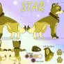 Star's Updated Ref Sheet