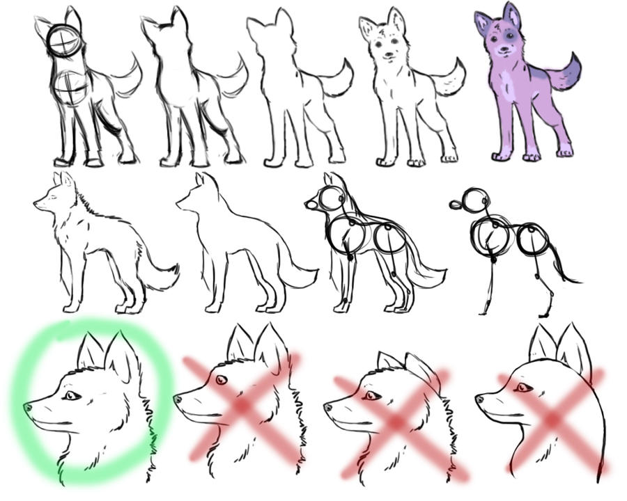 How to draw anime wolves