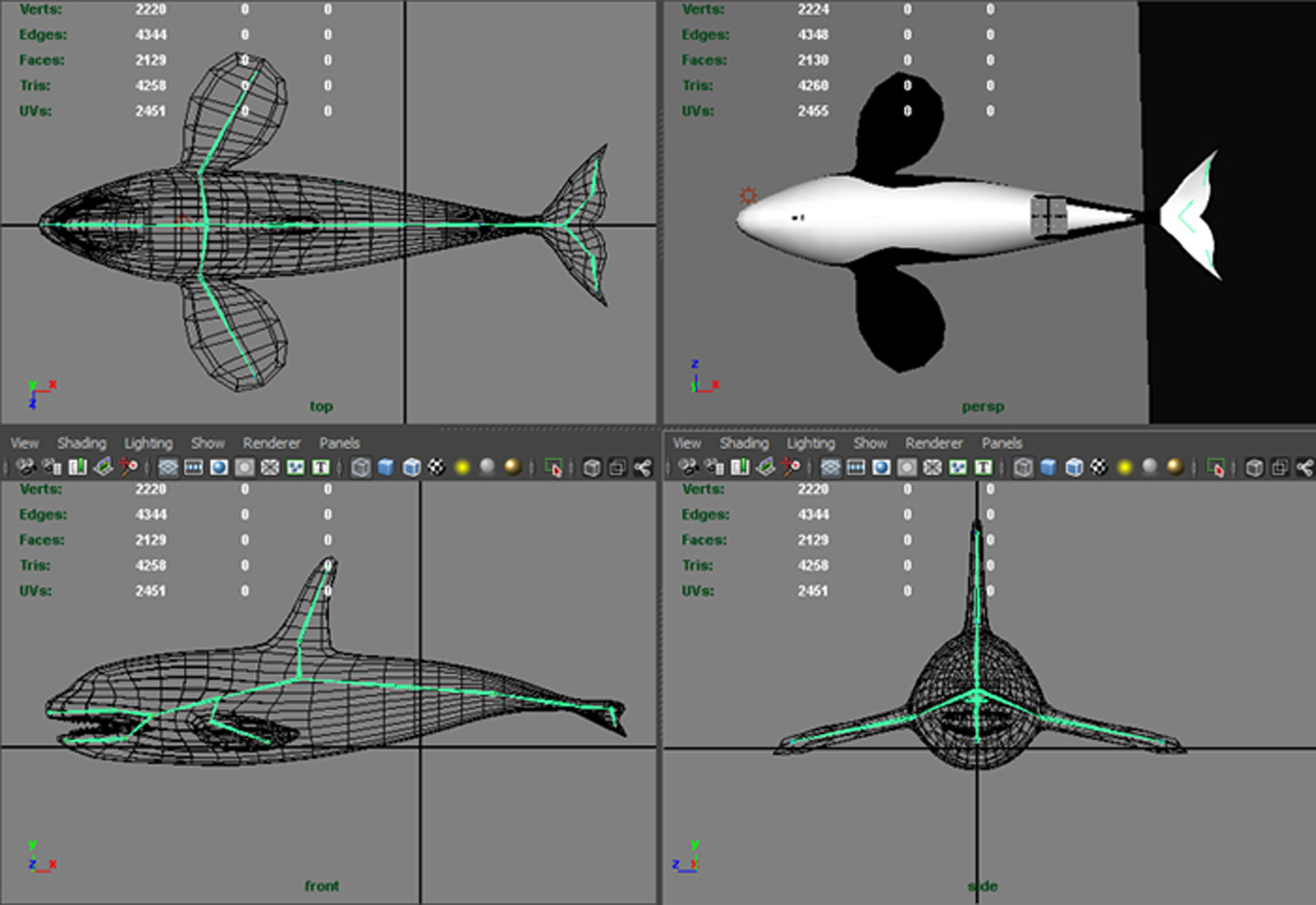 3D Orca Model by hollywood714 on DeviantArt