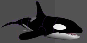 3D Orca Rig