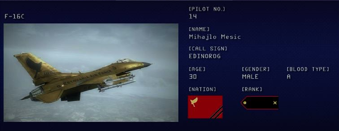 Mihajlo Mesic's AC6 Assault Record.