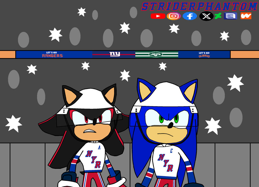 Sonic and Shadow, New York Rangers Stadium Series. by StriderPhantom on ...
