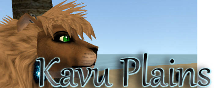 Kavu Plains Banner